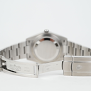 Rolex Oyster Perpetual 41 124300.webp