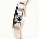 Cartier Santos WSSA0029.webp