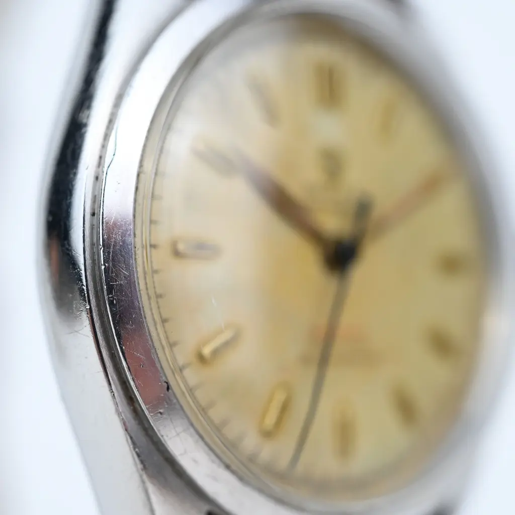 DSC_4028.webp