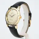 omega-seamaster-bumper-2577-27