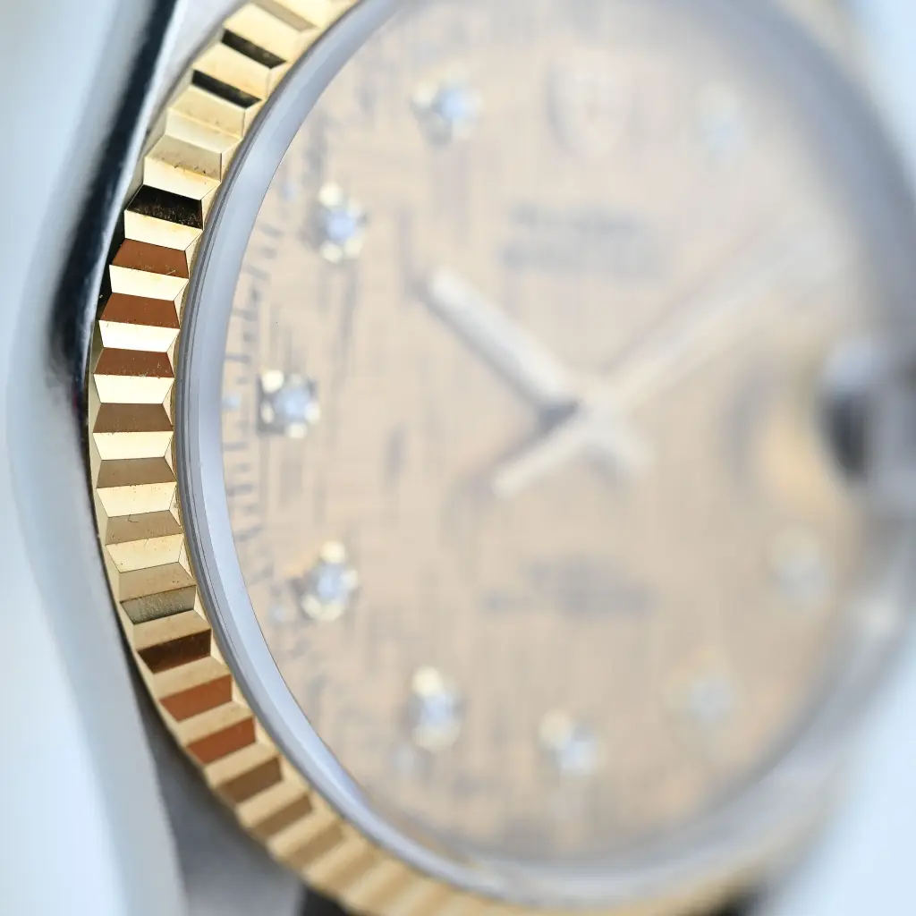 20251007-DSC_5633.webp
