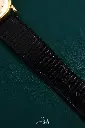 DSC_9692.webp