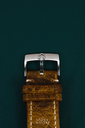 DSC_0184.webp