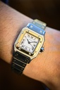 Cartier Lady Santos 1170902