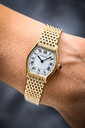 Cartier Lady Tortue 18k 78247