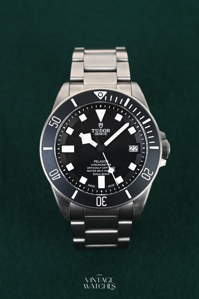 Tudor Pelagos 25600TN
