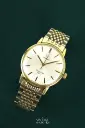 Omega Seamaster 600 135011