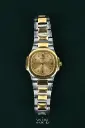 Patek Philippe Lady Nautilus 4700/1